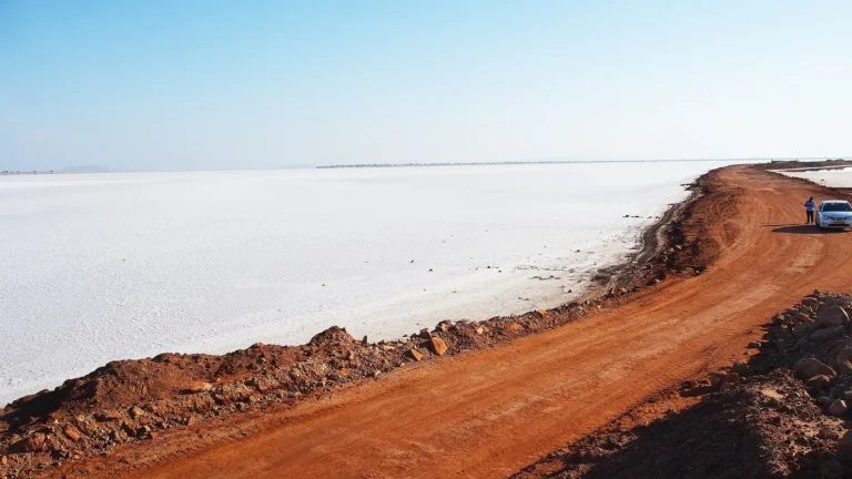 White Rann of Kutch salt desert